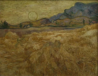Champ de blé avec moissonneur et soleil